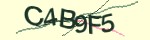 Mã bảo mật